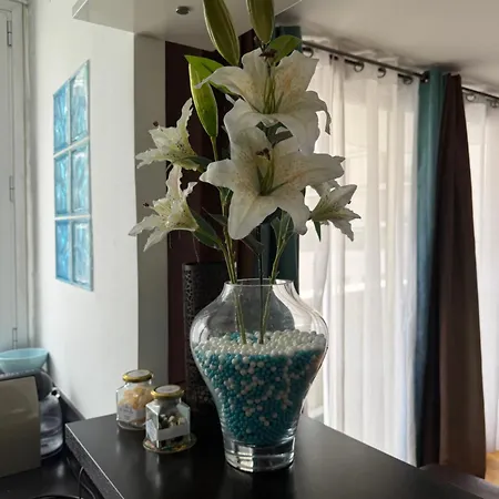 Tour Eiffel Saint Charles Appartement Parijs